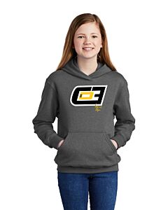 Port & Company® Youth Core Fleece Pullover Hooded Sweatshirt - Front Imprint-Graphite Heather